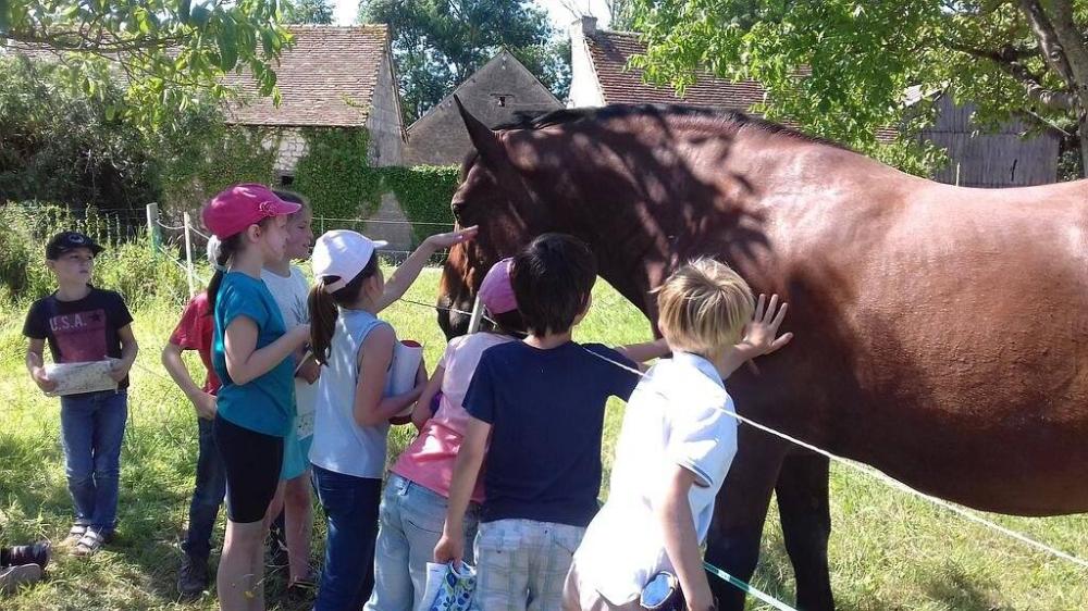 Équitation handicapé près de Baugé en Anjou