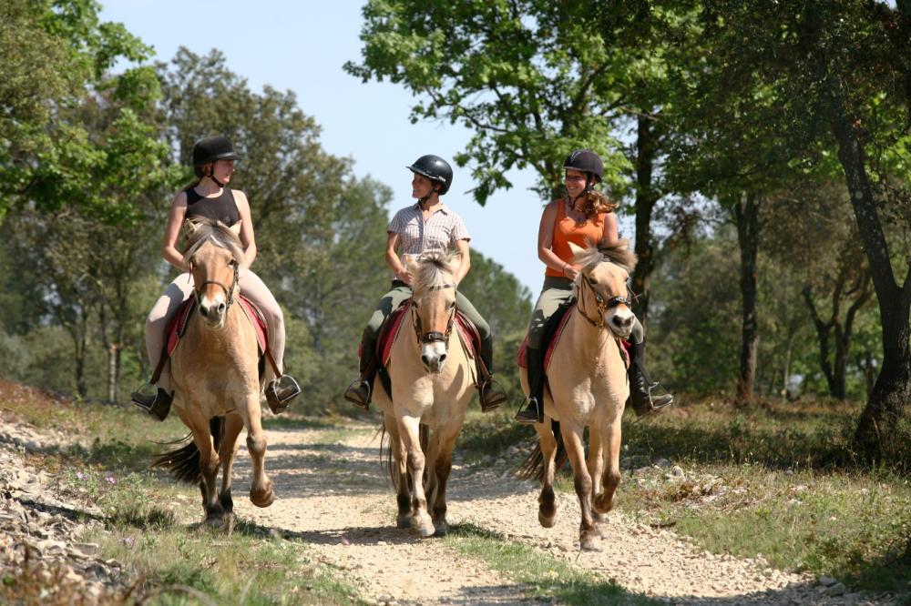 Équitation loisir près de Baugé en Anjou