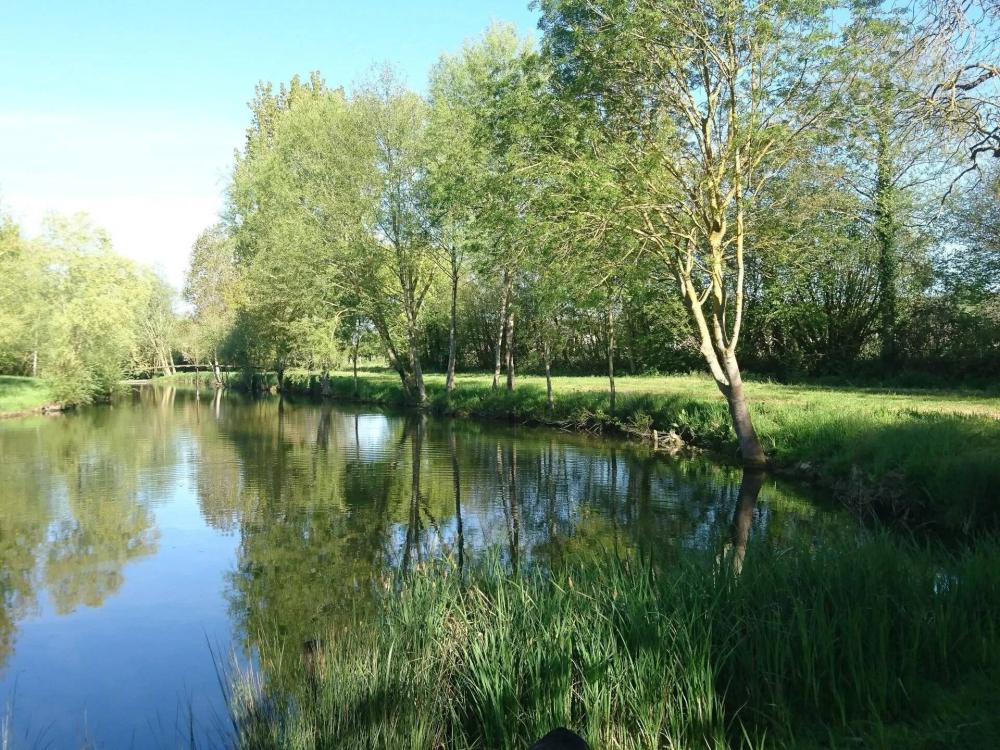 lac